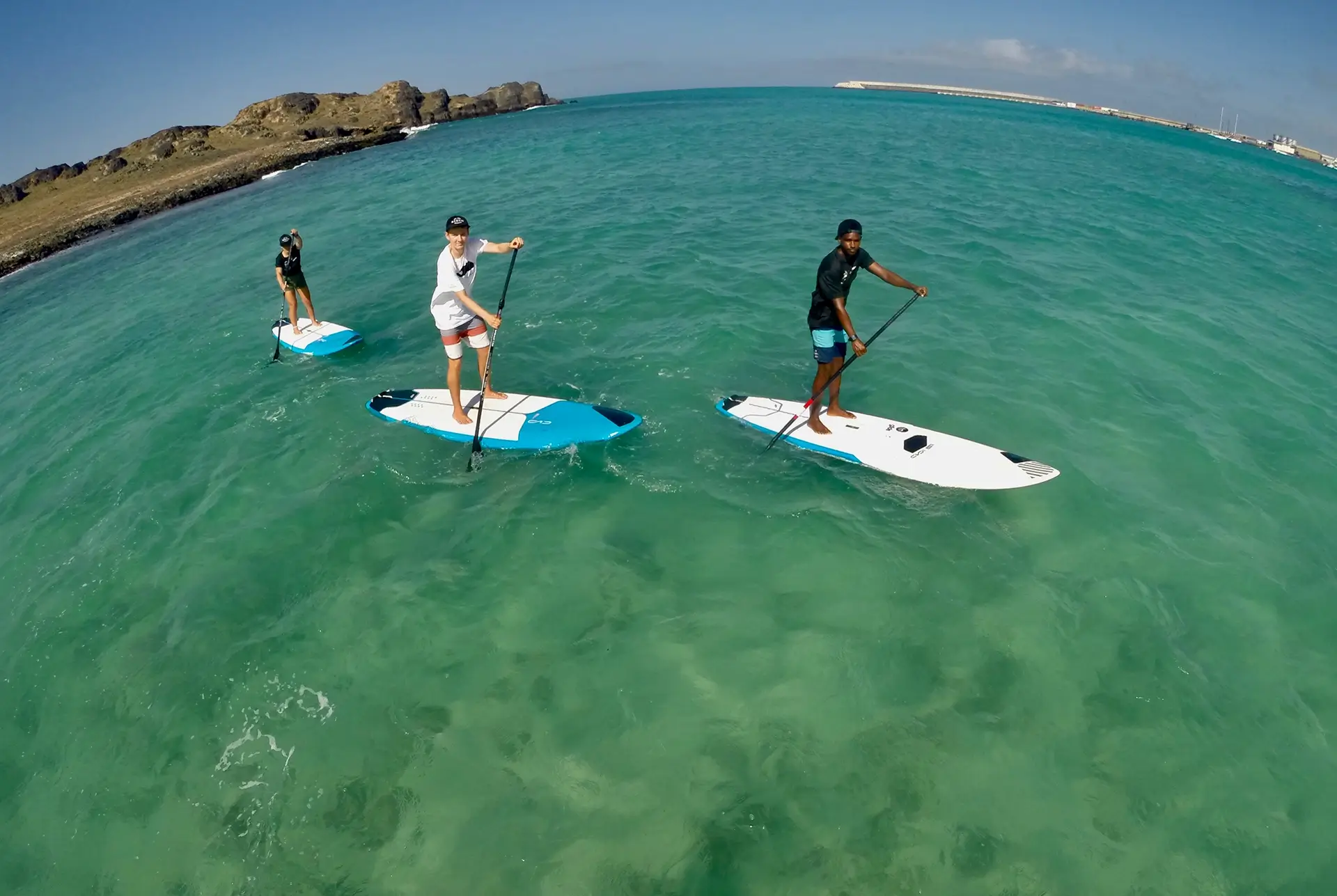 3 stand-up paddlers paddling through the sea