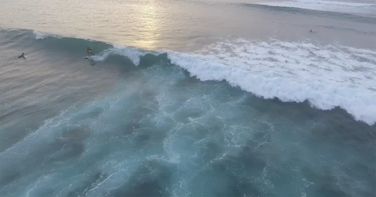 surfer in a wave