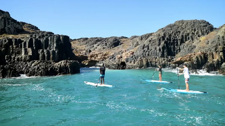 stand-up-paddler group in front of cliffs
